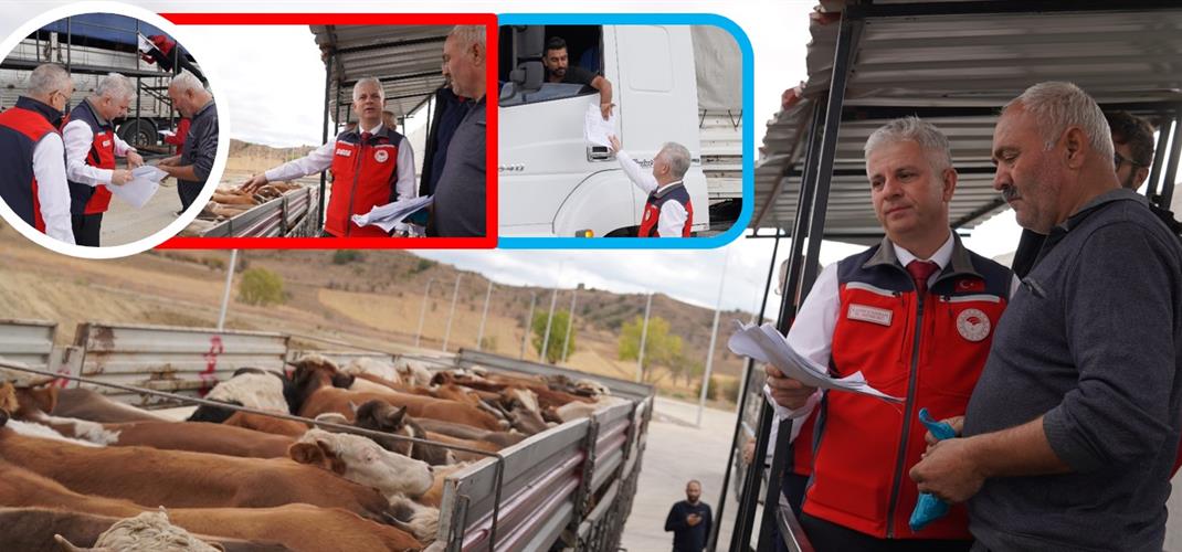 Çankırı da Hayvan Hareketleri 7/24 Denetleniyor