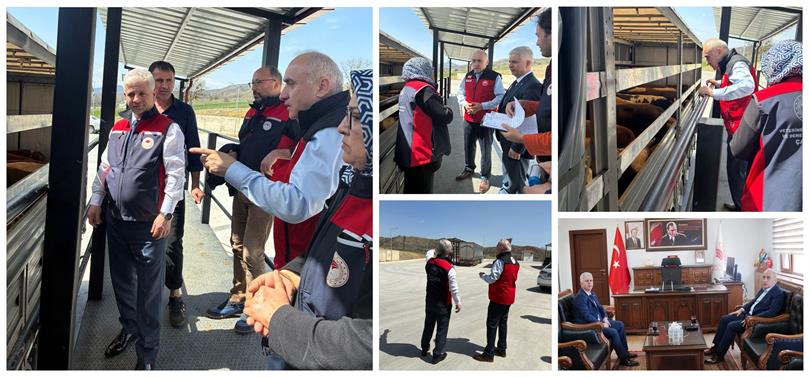 Hayvancılık Genel Müdürü Salih ÇELİK Çankırı'da