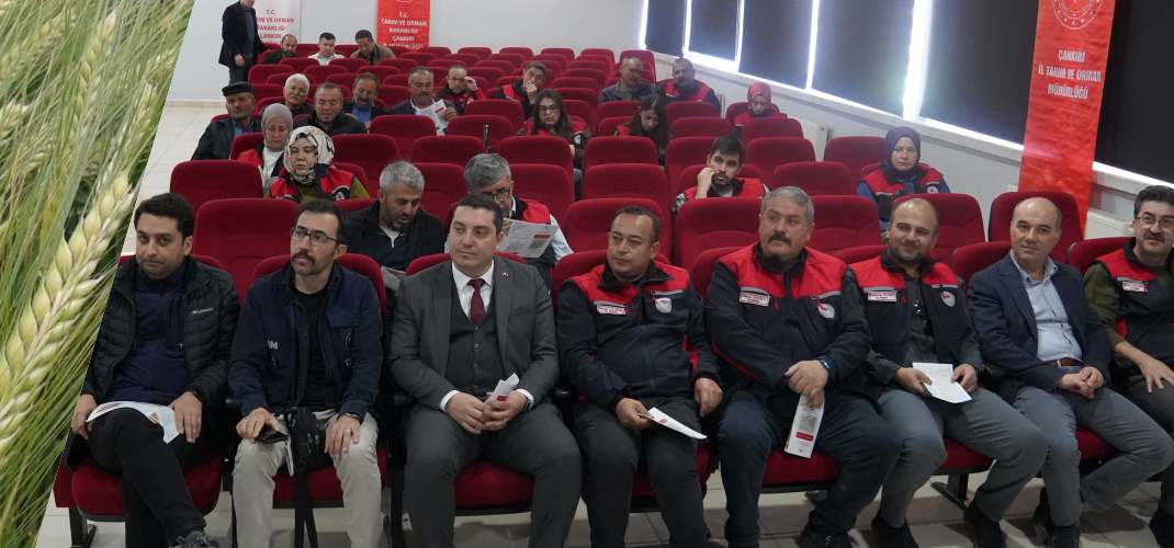 Kuraklığa Dayanıklı Çeşitlerimiz Çiftçilerimiz Eliyle Yaygınlaşıyor