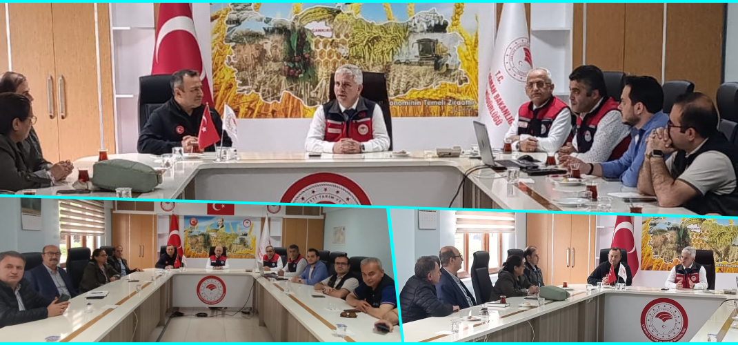 Türkiye Afet Müdahale Planı (TAMP) Yerel Düzey Afet Tarım Orman Gıda Su ve Hayvancılık Grubu Operasyon Planı Bilgilendirme Toplantısı Yapıldı   