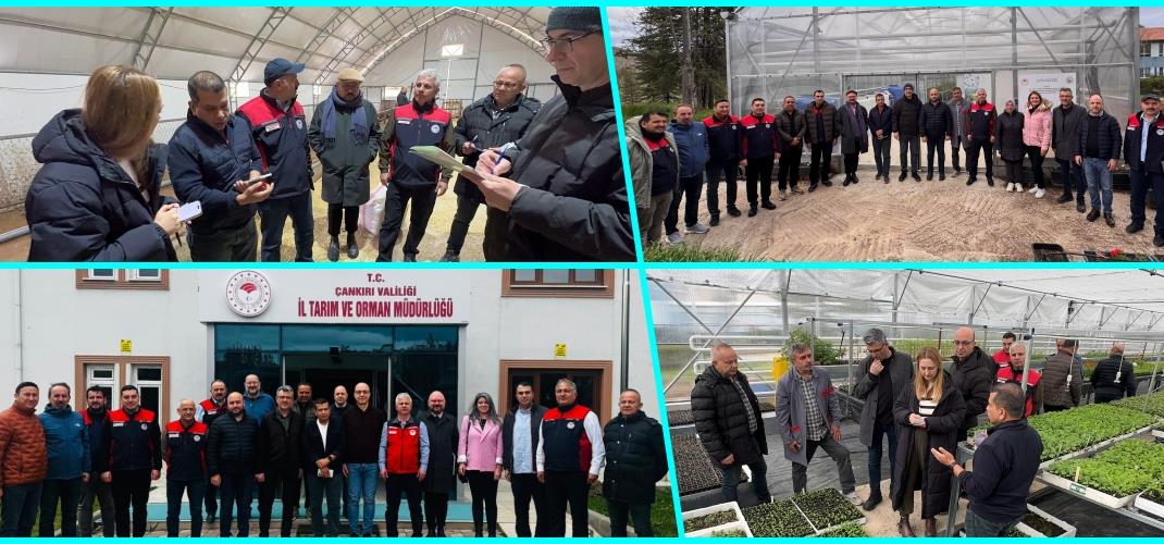 Uluslararası Tarımsal Kalkınma Fonu (IFAD) Destek Misyonu Çankırı'da Uygulanan Projeleri Ziyaret etti