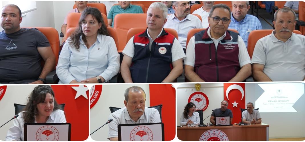 Meyve Bahçelerinde Zirai Don Hakkında Eğitim Toplantısı Yapıldı