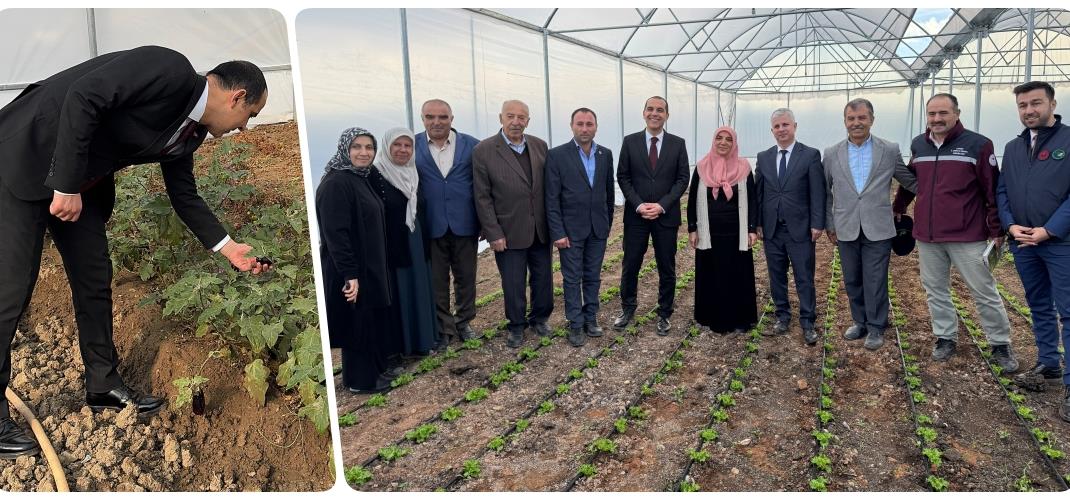 ​Valimiz Sayın M.Fırat TAŞOLAR KDAKP Hibe Desteğiyle Kurulan Seralarda İncelemelerde Bulundu.